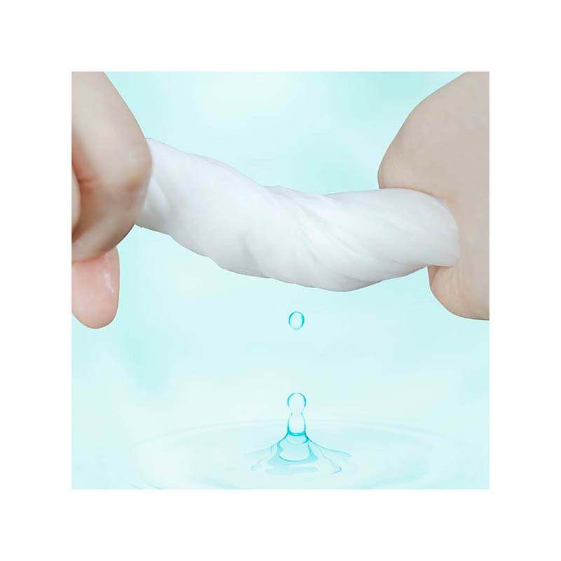 Non-toxic Household Safe Disposable Pet Deodorant Wet Wipes Facial Tissue Eyes Ears Cleaning Dog Cat Wet Wipes